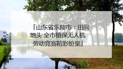 山东省乐陵市：田间地头 全市植保无人机劳动竞赛精彩纷呈