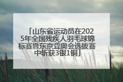 山东省运动员在2025年全国残疾人羽毛球锦标赛暨东京聋奥会选拔赛中斩获3银1铜