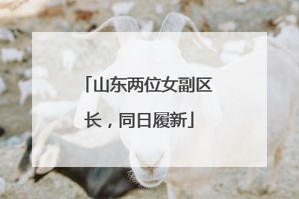 山东两位女副区长，同日履新