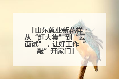 山东就业新花样：从“赶大集”到“云面试”，让好工作“敲”开家门
