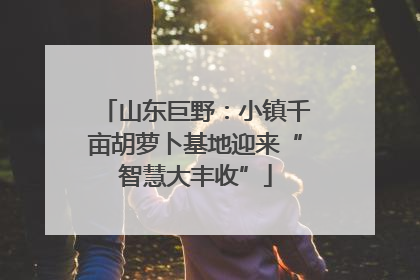 山东巨野：小镇千亩胡萝卜基地迎来“智慧大丰收”
