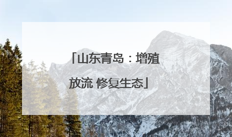 山东青岛：增殖放流 修复生态