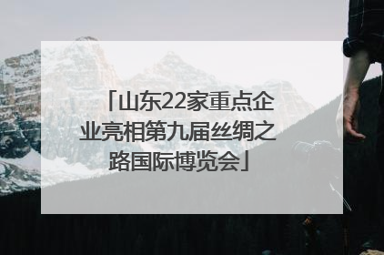 山东22家重点企业亮相第九届丝绸之路国际博览会