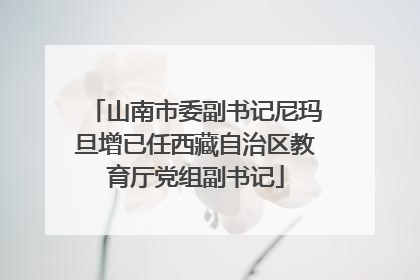 山南市委副书记尼玛旦增已任西藏自治区教育厅党组副书记