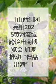 山西组团亮相2025黄河流域跨境电商博览会 加速推动“晋品出海”