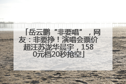 岳云鹏“非要唱”，网友：非要挣！演唱会票价超汪苏泷华晨宇，1580元档20秒抢空