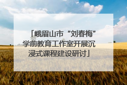 峨眉山市“刘春梅”学前教育工作室开展沉浸式课程建设研讨