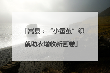 嵩县:“小蚕茧”织就助农增收新画卷