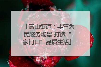 嵩山街道：丰富为民服务场景 打造“家门口”品质生活
