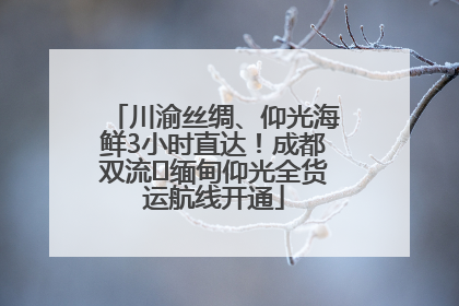 川渝丝绸、仰光海鲜3小时直达！成都双流⇌缅甸仰光全货运航线开通