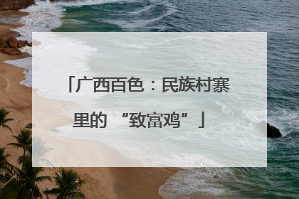 广西百色：民族村寨里的 “致富鸡”