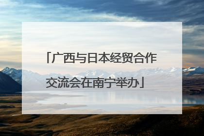 广西与日本经贸合作交流会在南宁举办