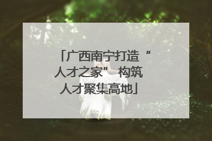 广西南宁打造“人才之家” 构筑人才聚集高地