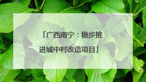 广西南宁：稳步推进城中村改造项目