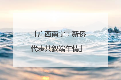 广西南宁：新侨代表共叙端午情