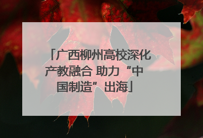 广西柳州高校深化产教融合 助力“中国制造”出海
