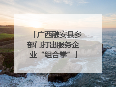 广西融安县多部门打出服务企业“组合拳”
