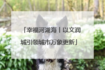 幸福河湖海丨以文润城引领城市万象更新