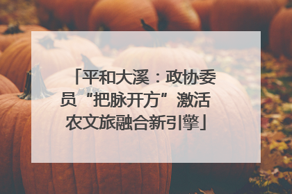 平和大溪：政协委员“把脉开方”激活农文旅融合新引擎