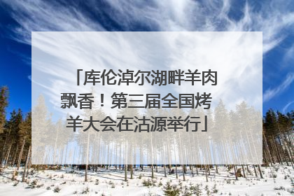 库伦淖尔湖畔羊肉飘香！第三届全国烤羊大会在沽源举行