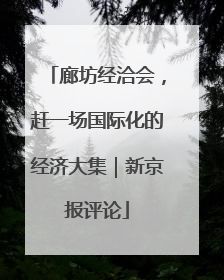 廊坊经洽会，赶一场国际化的经济大集｜新京报评论