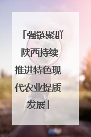 强链聚群 陕西持续推进特色现代农业提质发展