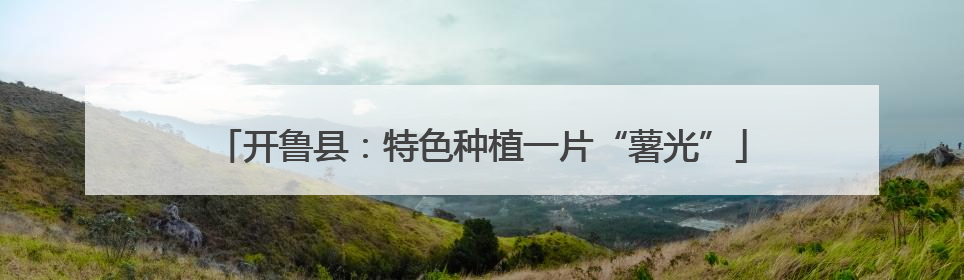 开鲁县：特色种植一片“薯光”