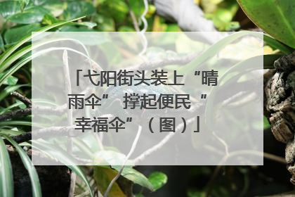 弋阳街头装上“晴雨伞” 撑起便民“幸福伞”（图）
