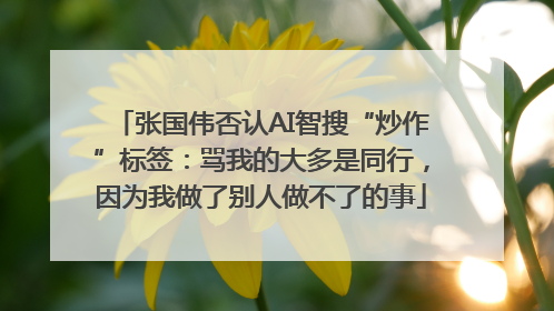 张国伟否认AI智搜“炒作”标签：骂我的大多是同行，因为我做了别人做不了的事