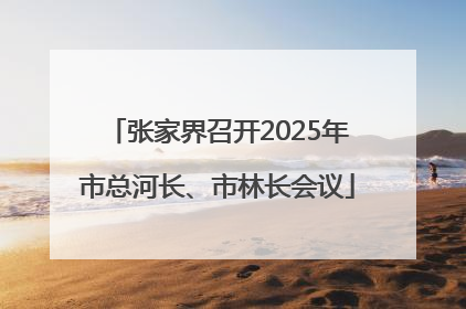 张家界召开2025年市总河长、市林长会议