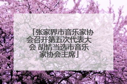 张家界市音乐家协会召开第五次代表大会 胡情当选市音乐家协会主席