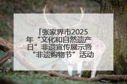 张家界市2025年“文化和自然遗产日”非遗宣传展示暨“非遗购物节”活动在慈利县盛大启幕