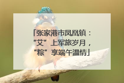 张家港市凤凰镇：“艾”上军旅岁月，“粽”享端午温情