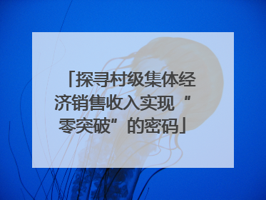 探寻村级集体经济销售收入实现“零突破”的密码