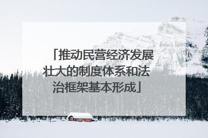 推动民营经济发展壮大的制度体系和法治框架基本形成