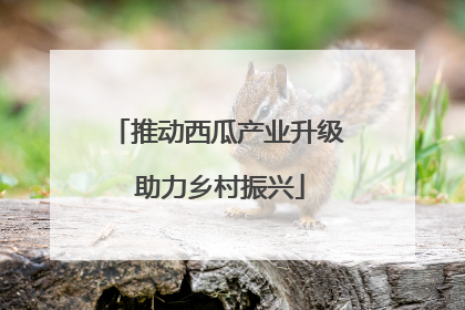 推动西瓜产业升级 助力乡村振兴