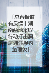 总台报道有反馈丨湖南两地采取行动打击洞庭湖违规钓鱼现象