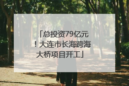 总投资79亿元！大连市长海跨海大桥项目开工