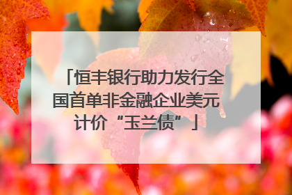恒丰银行助力发行全国首单非金融企业美元计价“玉兰债”