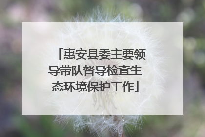 惠安县委主要领导带队督导检查生态环境保护工作