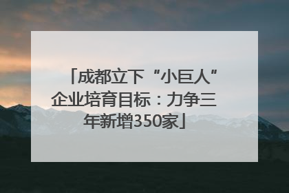 成都立下“小巨人”企业培育目标：力争三年新增350家