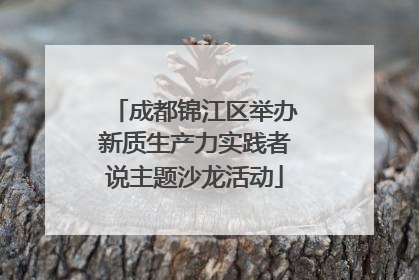 成都锦江区举办新质生产力实践者说主题沙龙活动
