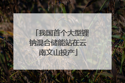 我国首个大型锂钠混合储能站在云南文山投产