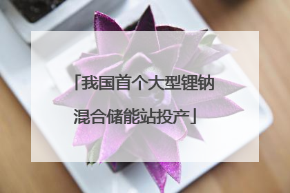 我国首个大型锂钠混合储能站投产