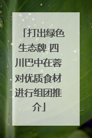 打出绿色生态牌 四川巴中在蓉对优质食材进行组团推介