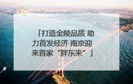 打造金陵品质 助力首发经济 南京迎来首家“胖东来”