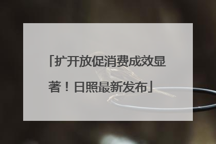 扩开放促消费成效显著！日照最新发布