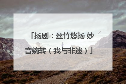扬剧：丝竹悠扬 妙音婉转（我与非遗）