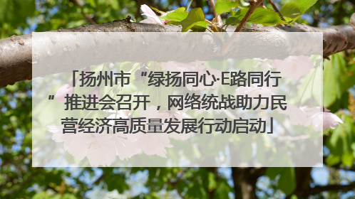 扬州市“绿扬同心·E路同行”推进会召开，网络统战助力民营经济高质量发展行动启动