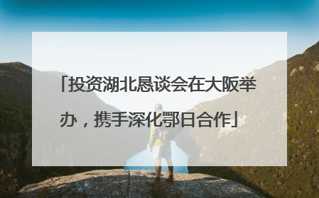 投资湖北恳谈会在大阪举办，携手深化鄂日合作